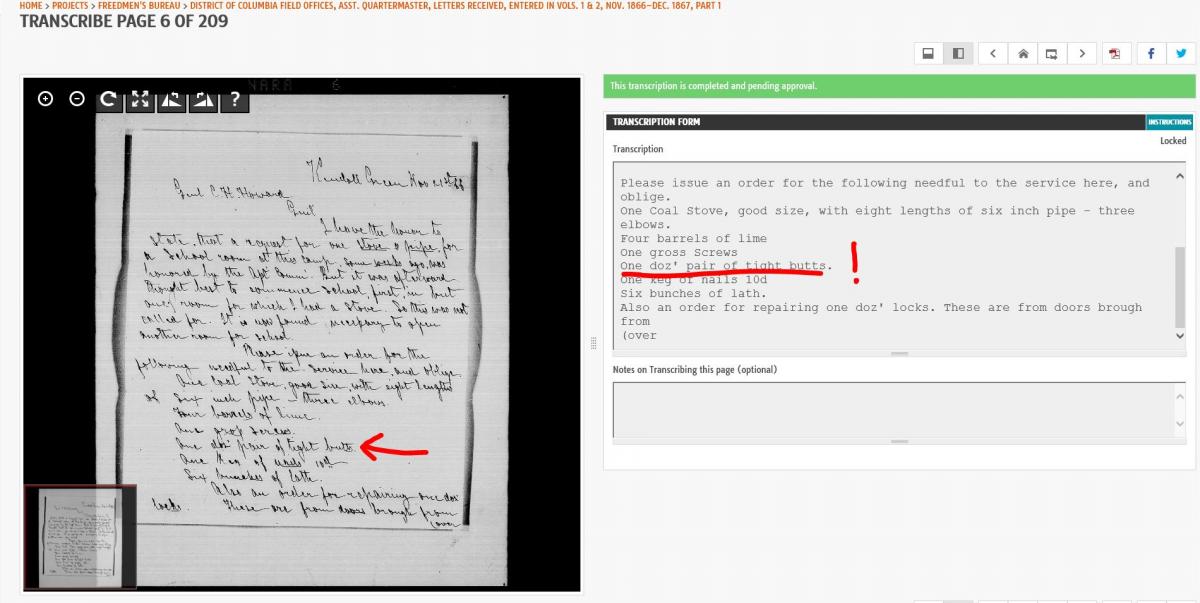 A screenshot of a Transcription Center project page, including a Freedmen's Bureau document, and it's related transcription, with the words "tight butts" highlighted. 